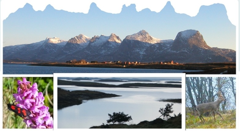 Naturmangfold